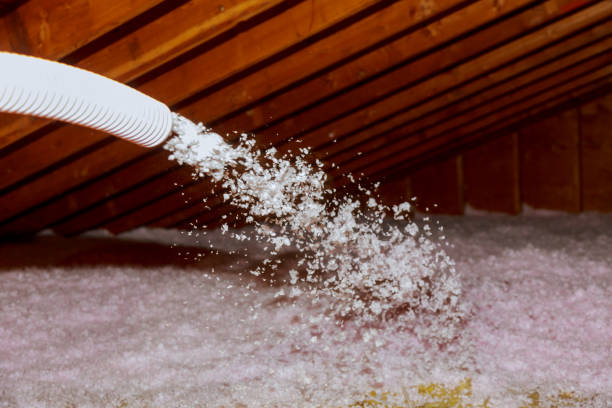 Best Types of Insulation in Morton Grove, IL