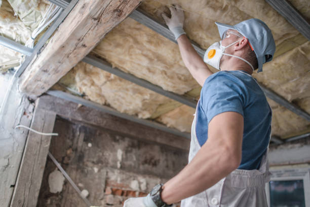 Best Insulation Maintenance and Repair in Morton Grove, IL
